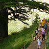 [photo]