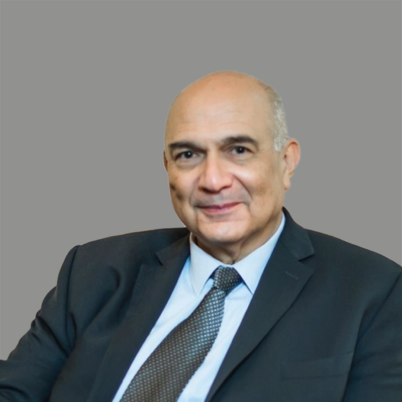 Mr. Mostafa Terrab