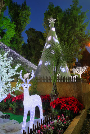 beirut-christmas-decoration-03.jpg