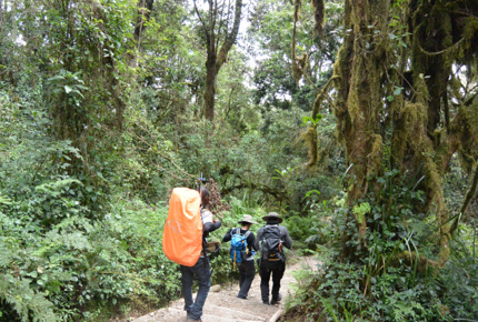 kilimanjaro-trip-03-big.jpg